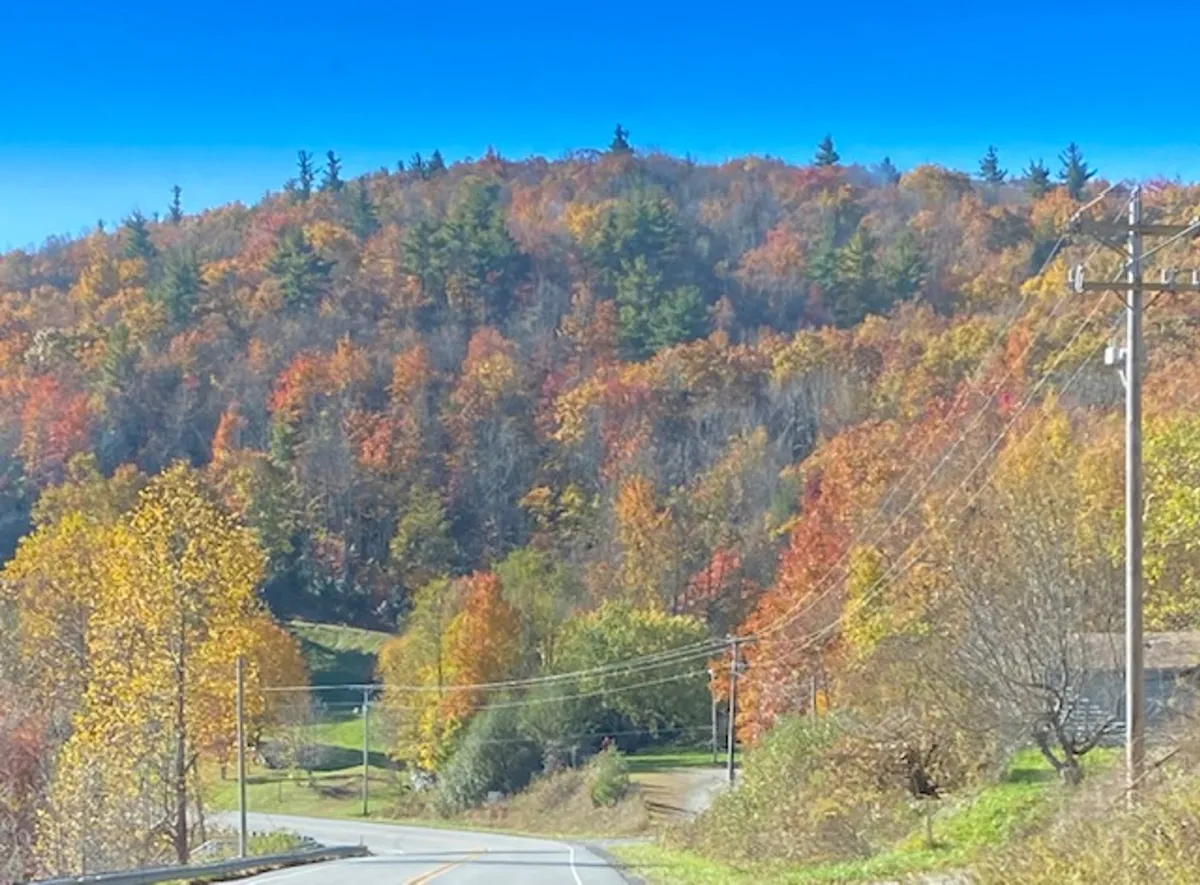 A sweeping view of mountain scenery in the midst of autumn, featuring brilliant fall foliage, a winding road, and a clear blue sky. The landscape captures the high country in a particularly festive and photogenic moment—ideal for leaf peeping and seasonal exploration.